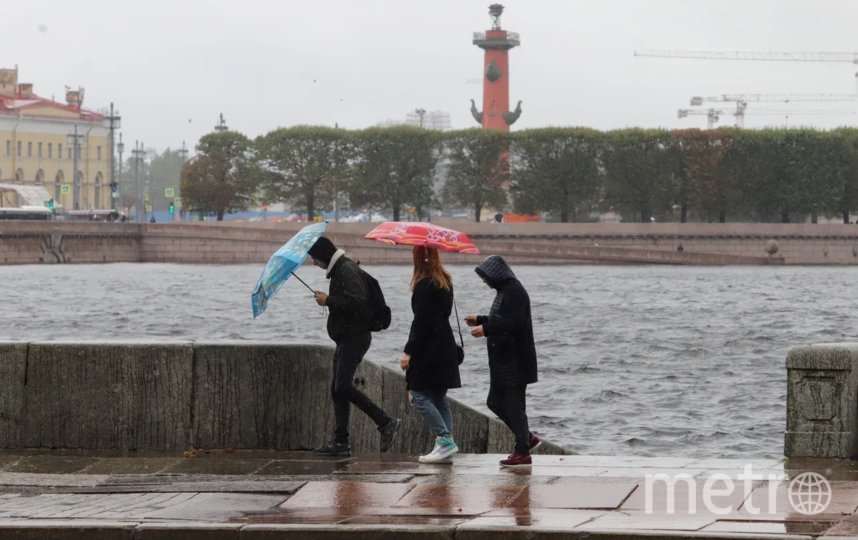 В понедельник в Петербург вновь придут дожди и мокрый снег 