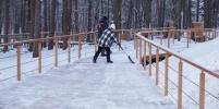 В снегоплавительные пункты Петербурга доставили более 240 тысяч кубометров снега