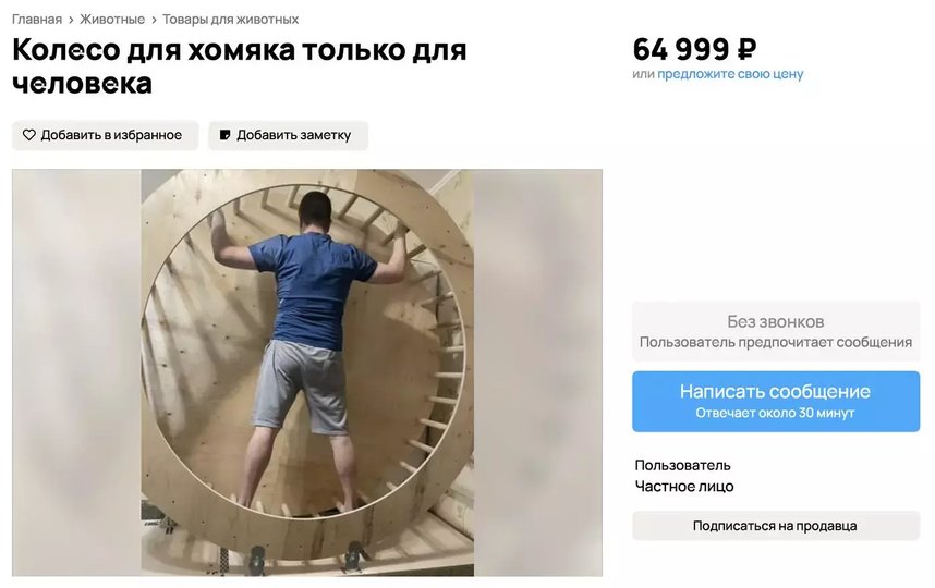 Слоган к этой покупке может быть такой: "Почувствуй себя хомяком!". Фото скриншот с avito.ru