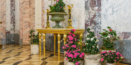 Камелии и одуванчики: любимые цветы жены Николая II украсили Александровский дворец 