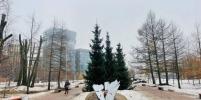 До конца года Малоохтинский парк получит современное освещение