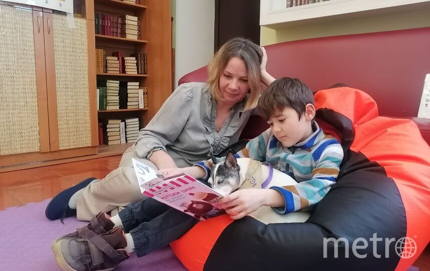 В библиотеках Петербурга детей учат читать собаки