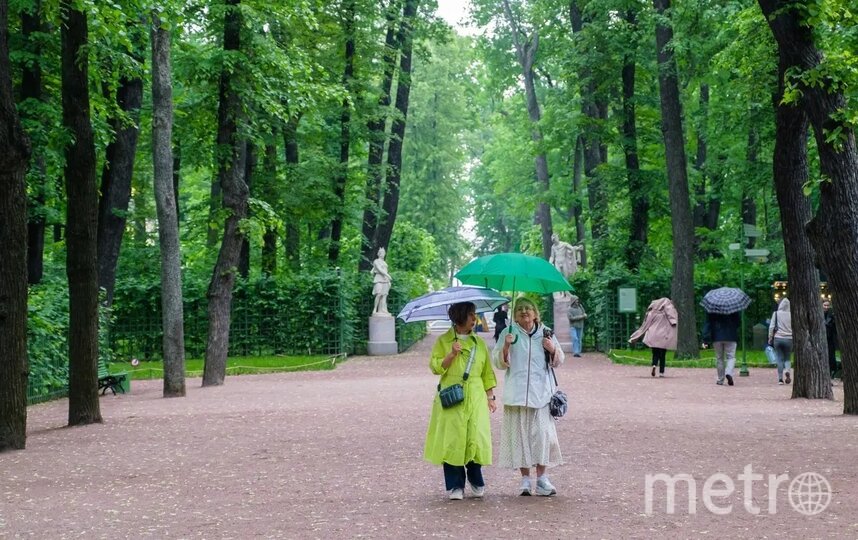 Петербург ждут дожди и грозы в пятницу