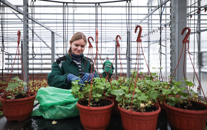 ������������� ��������� ������� ����� ��� ��������� � ������� �������