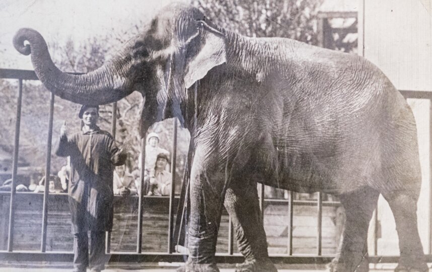 ��������� �������� � ������������ ������� �����, �������� � ������ ���� �������. ����������� ������������� ������� �������