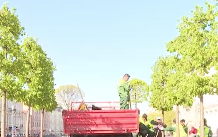 На Исаакиевской площади принялись создавать липовый сад Источник: Metro