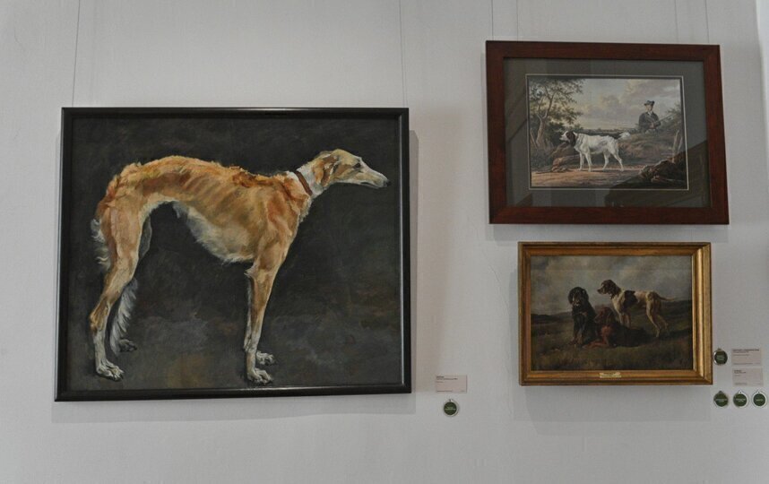 Oz oglim bilan jinsiy aloqa Onam porno komiks