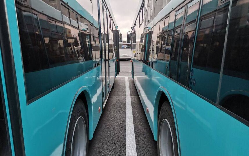 В Северной столице появится более 290 дизельных автобусов