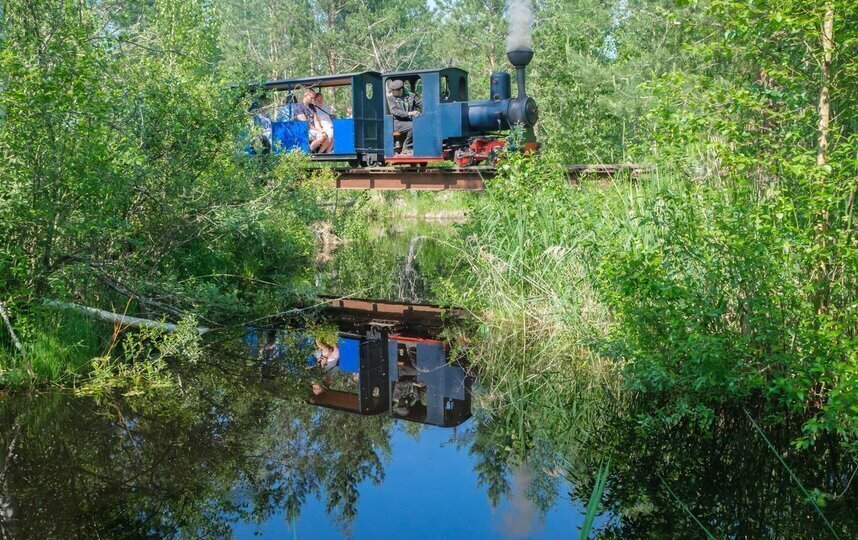Миниатюрный паровоз разгоняется до 20 километров в час Миниатюрный паровоз разгоняется до 20 километров в час