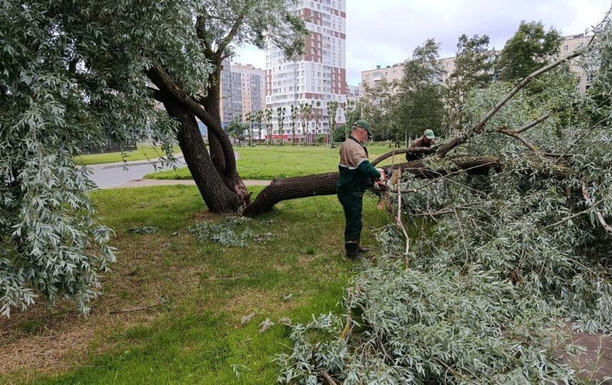 Как на улицах Петербурга устраняют последствия шторма