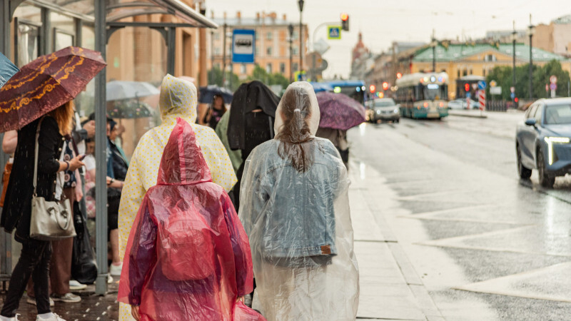 В каком районе Петербурга выпала месячная норма осадков 5 августа 2025