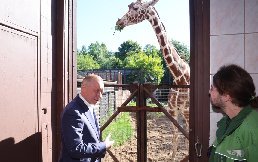 ... � �������� ��������������