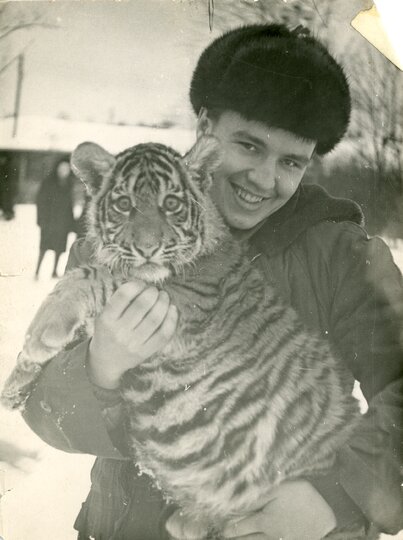 ���� � ��������, �� �������� ���������� ����-�������