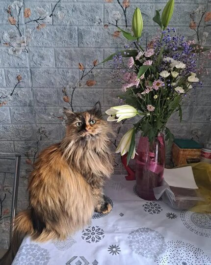 ���� ����� ����� ����� � ���� ���� "�� ���� ����� �� ����!" �� �������� � ����������.