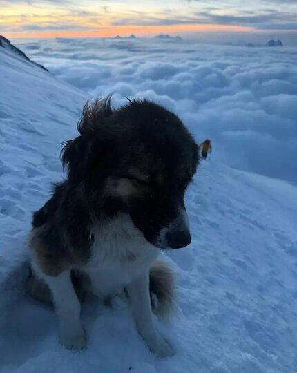 ����� ��� �� ������� ����-����, ����� ���������� �� ������� ��������