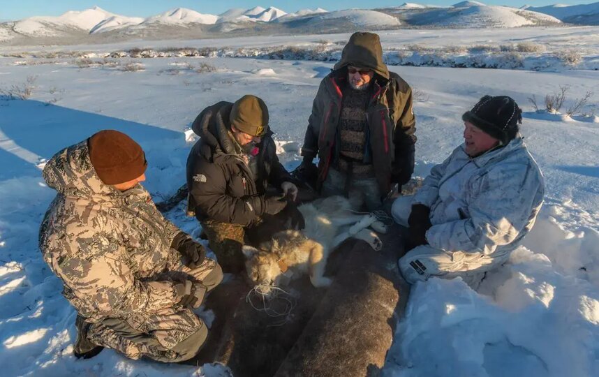         ( . )                   .      –  . -           "-"  GPS-        -40 .