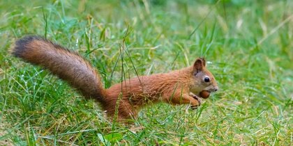 � ��������� ������ ����� �� ������ �������� ������