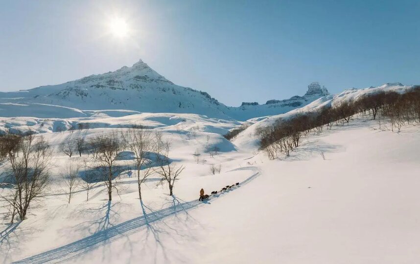   26     .   ,  ,    ,        .