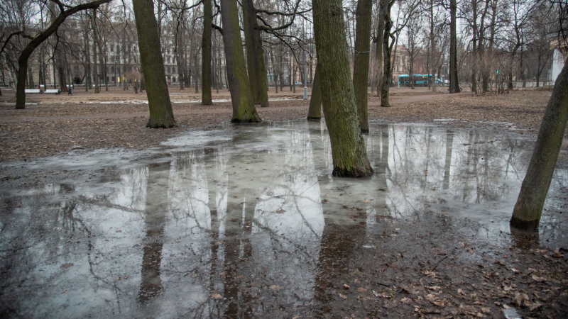 Петербуржцев предупредили о гололедице 17 октября 2025