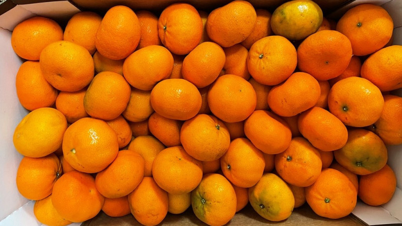 Почти 20 тонн зараженных африканских мандаринов остановили в порту Петербурга