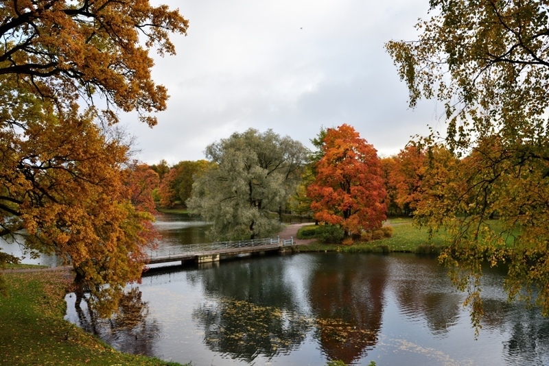 Вход в Дворцовый парк Гатчины стал бесплатным