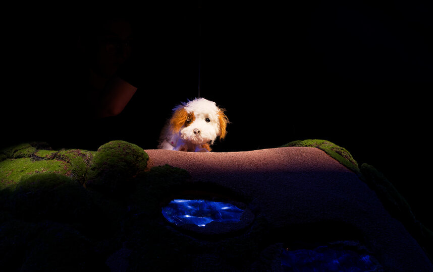 Жителей Петербурга приглашают на показ спектакля Умная собачка Соня