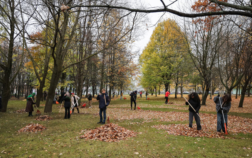 Итоги осеннего месячника по благоустройству подвели в Смольном