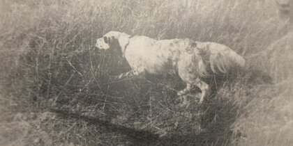 "     ":          1920- 