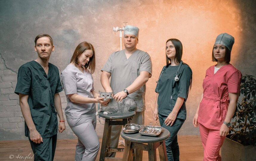 История становления ветеринарной сети Пульс: когда профессионализм встречается с заботой