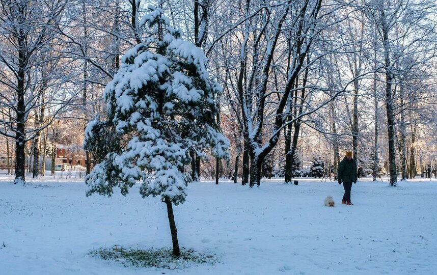 В Петербурге сохранится снежная погода с небольшими морозами