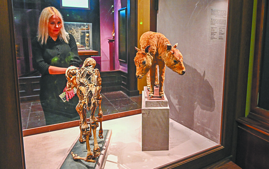 В Кунсткамере планируют открыть кабинет антропологии