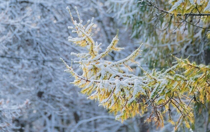 Продлен желтый уровень погодной опасности