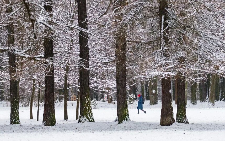 Синоптики предупредили об ухудшении погоды в Петербурге