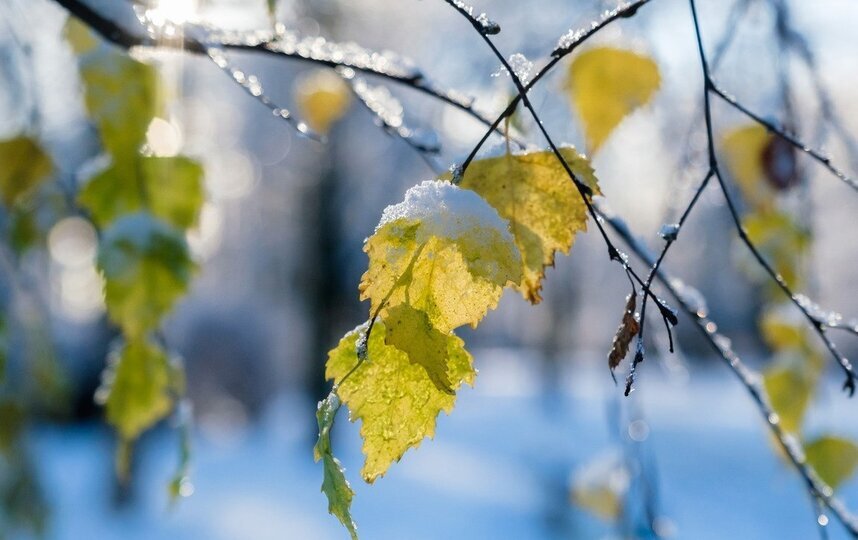 В Петербурге обещаны дожди и 4 градуса 29 ноября
