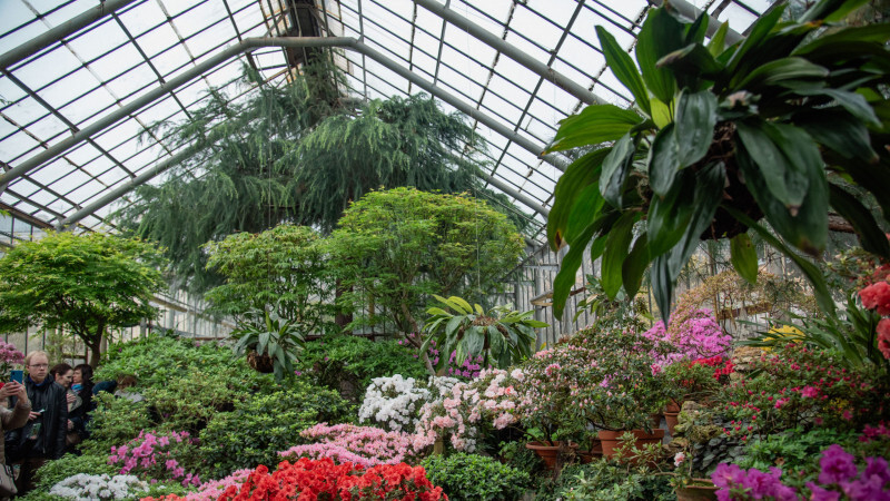 Вход в парк-дендрарий Ботанического сада сделают бесплатным с 6 по 21 декабря