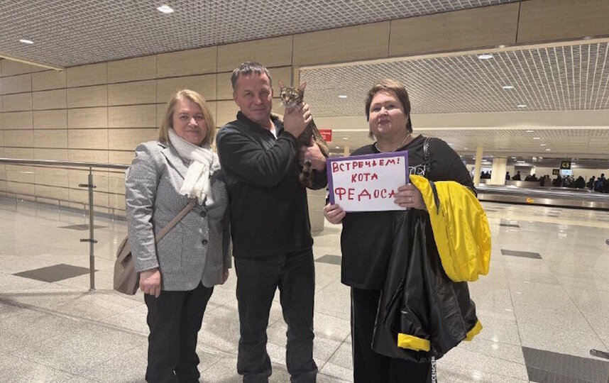 Помоги нам, Дед Мороз, чтоб вернулся кот Федос