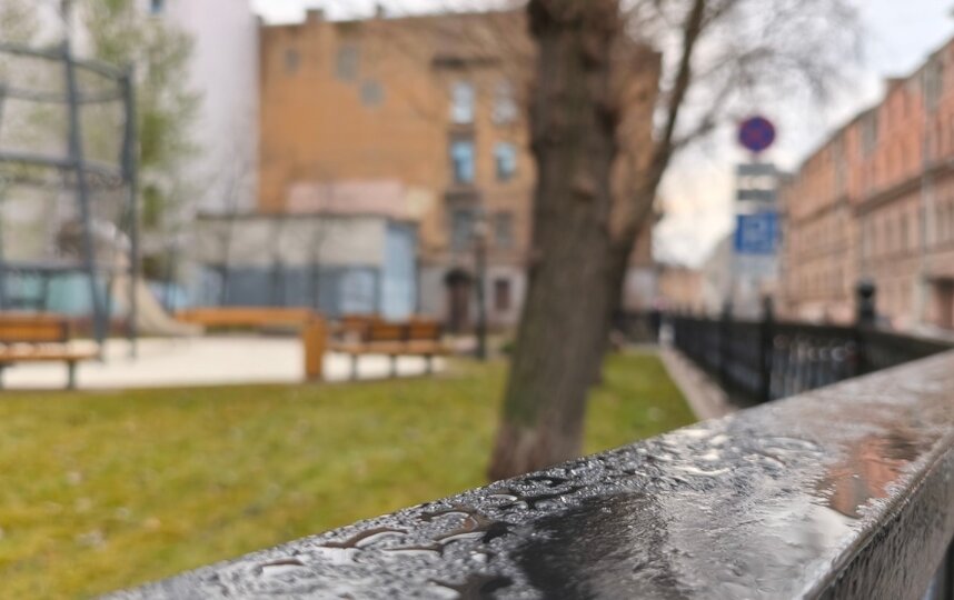 Поправки в закон о благоустройстве Петербурга могут рассмотреть в 2026 году