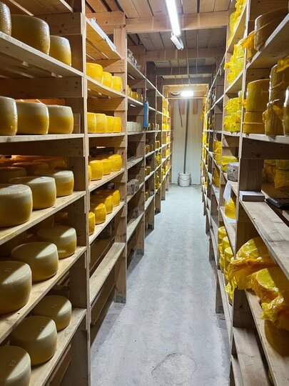 В Петербурге уничтожили 2 тонны опасного сыра