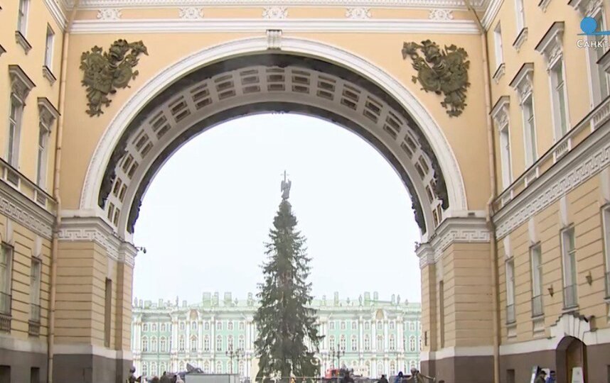 Главную ёлку Петербурга доставили на Дворцовую площадь