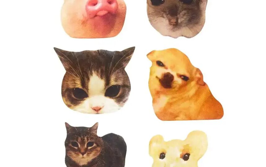 ������ ��� ��������� MUF-MUF (550 ���.)