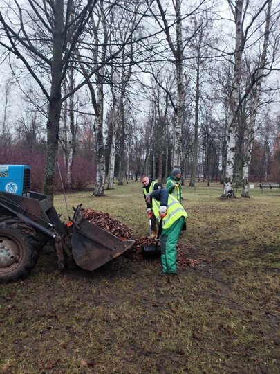 Мягкий декабрь помог коммунальщикам завершить уборку в парках