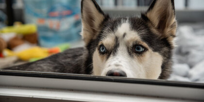 �������� �� �������� ������� ���������� ������������ �� ���������� ������� �� ��������� ����� �� �����