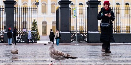 ��������� ������ ������ �������� � ��������� 16 �������