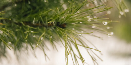 ������������ ����������, ��� �������� ������� ����� ���� � ������ ����