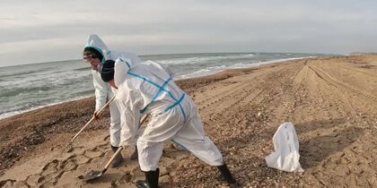 ��� ���������� � ������ ����� ������ ��� ����� ������� ������