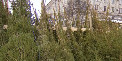 � �����-���������� ��������� ����� ������� ����� ����