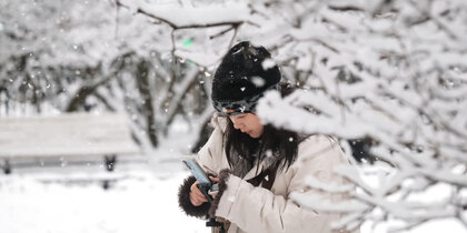 ������ ���������� ������� ������ �� �������