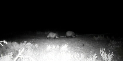 � ��������� ������ ���� � ���������� ����������� ������ ������ �����