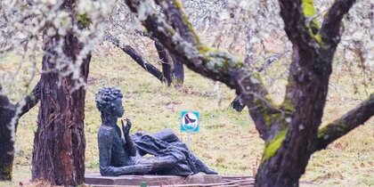 ����� ��� ����: ��� ����� ������ � ���������� ����� �� ��������� ����