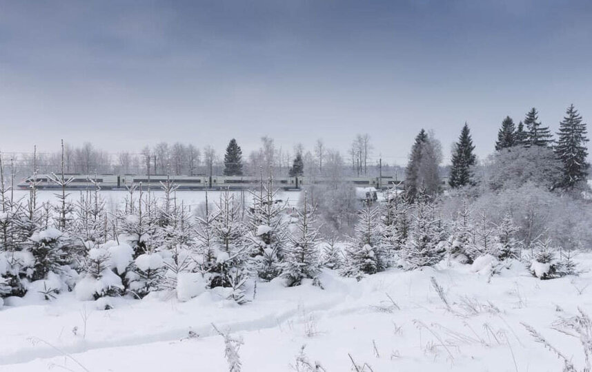 Дополнительные Сапсаны между Петербургом и Москвой будут ходить до 11 января